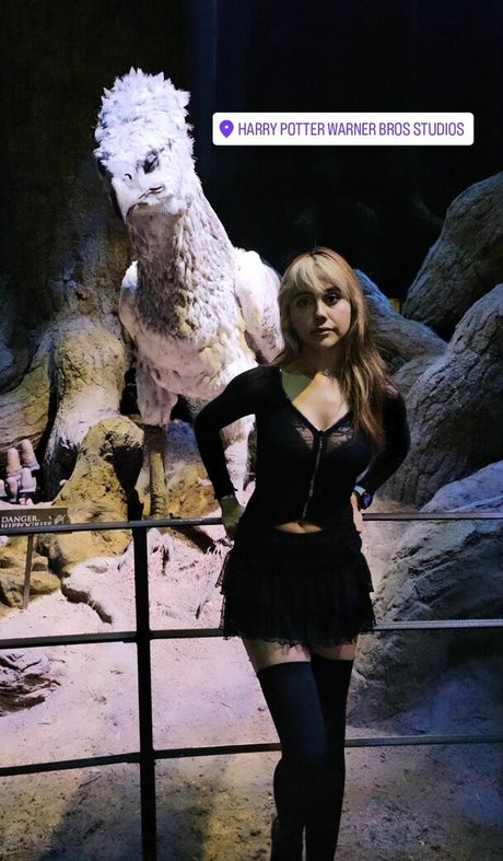 セクシーなブロンドのOnlyFans アートxxx ギャラリー