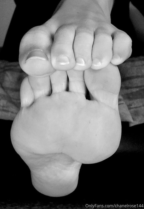 chanelrose144 HDスター 画像