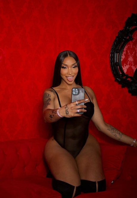 Tokyo Stylez 高品質女優 画像