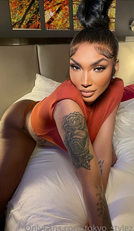 Tokyo Stylez XXXモデル 写真
