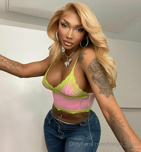 Tokyo Stylez セクシーなポルノスター 画像