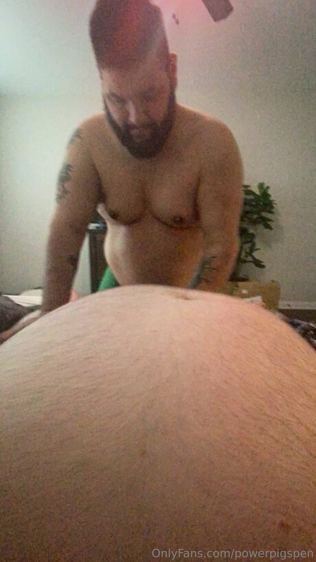 Powerpigspen 高品質モデル 画像