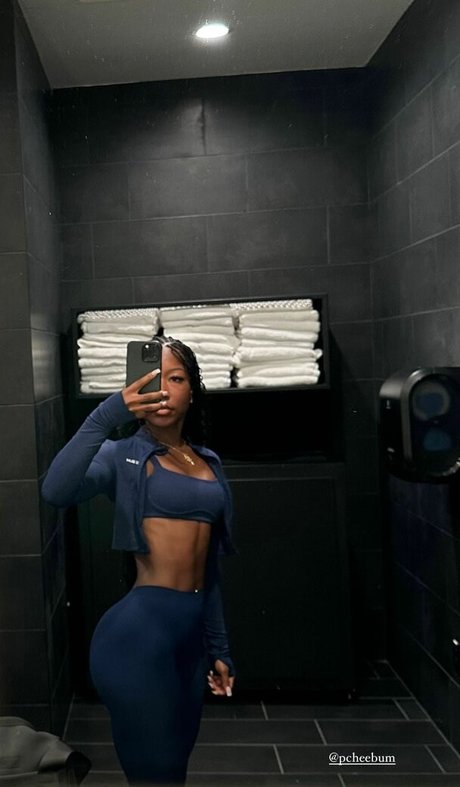 snapefit_ HDモデル アーカイブ