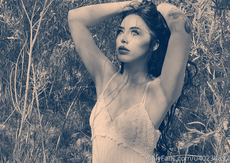 Deavanclegg1 アートスター 写真