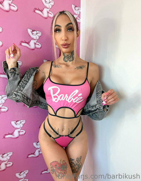barbikush 美しいポルノスター 写真