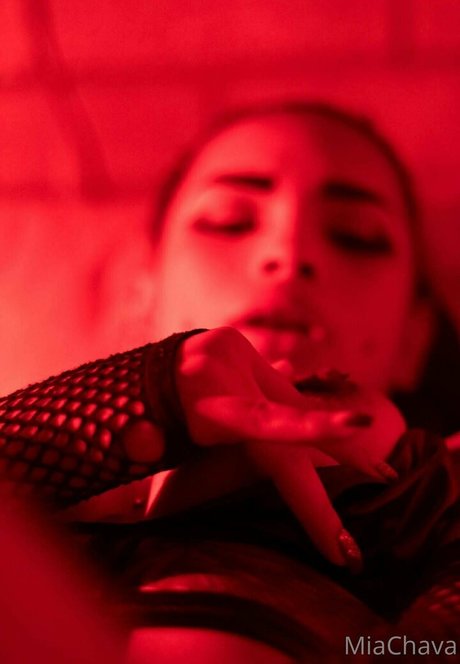 miachava アートモデル 写真