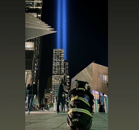 パパの足OnlyFans ポルノグラフィック 写真