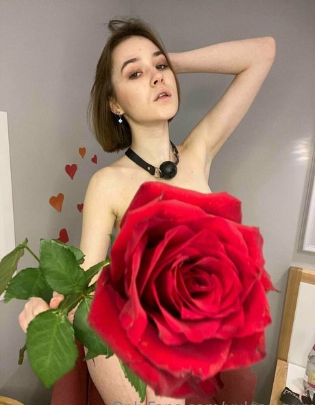 vulgar nun ポルノスター ホット 画像