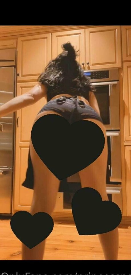 princesspastah スター ヌード 写真