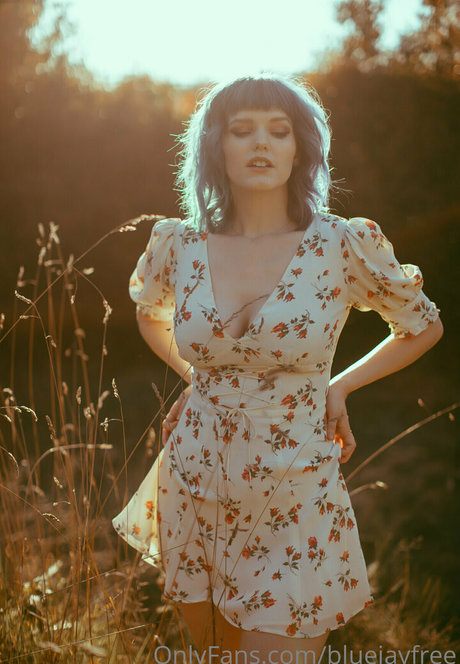 bluejayfree ポルノモデル ギャラリー