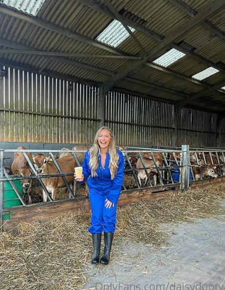 daisydootv ホットスター ギャラリー