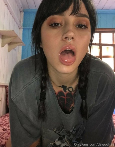 dawudfree 無料スター ギャラリー