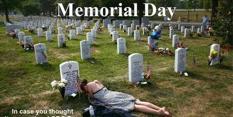 ビンボオンリーファンズ HD 写真