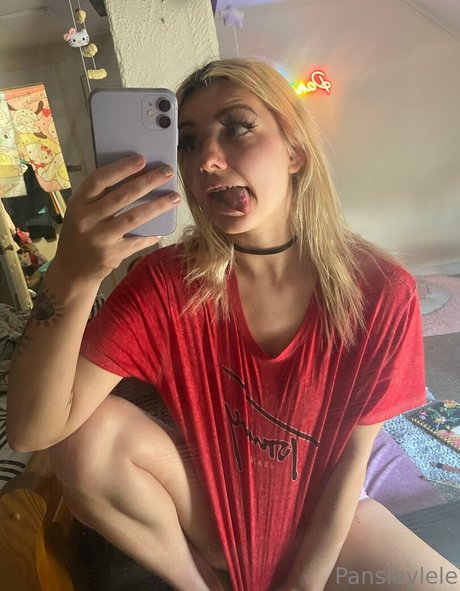 pansleylive ヌードスター 写真