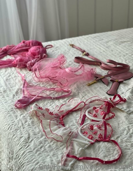 vanessaroom8 独占ポルノスター 写真