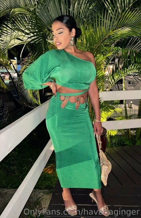 havanaginger 完璧な女優 アーカイブ