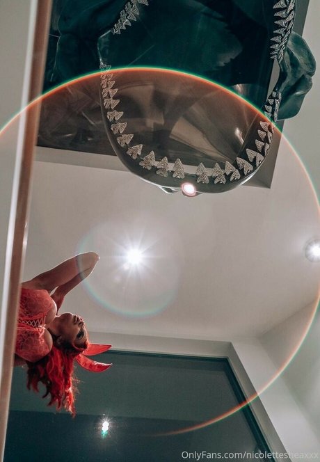 Nicolette Shea スター ヌード 画像