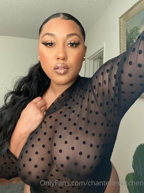 Chantelles Kitchen エロティックなポルノスター アーカイブ