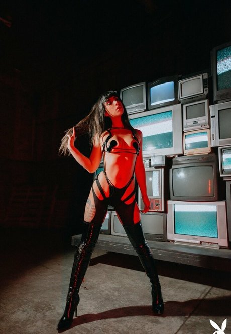 Reed Suicide ポルノスター ヌード 写真