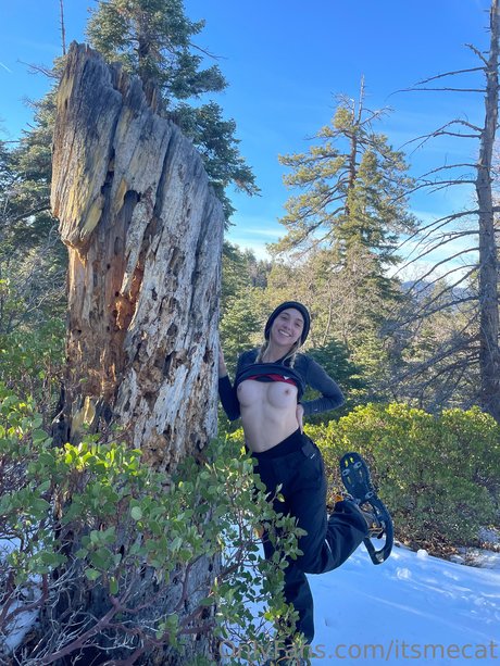 itsmecat アダルトモデル ギャラリー