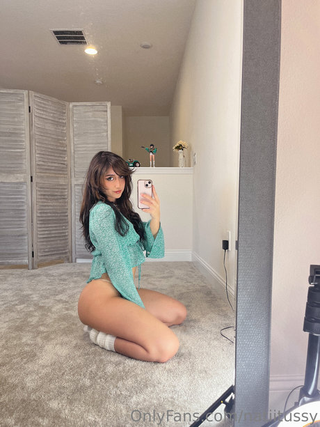 Natitties アートスター ギャラリー