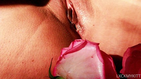 ビキニセックスOnlyFans 無料ヌード アーカイブ