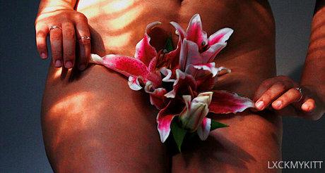 Lxckmykitt ポルノスター xxx 写真