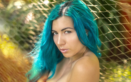 Livay D Punk ポルノスター 画像