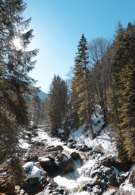 エモオンリーファン ホット 写真