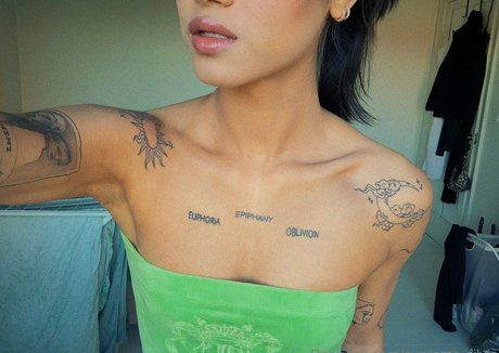 supreme silvi アートスター 写真