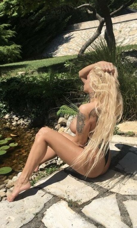 pekarvivi トップスター ギャラリー