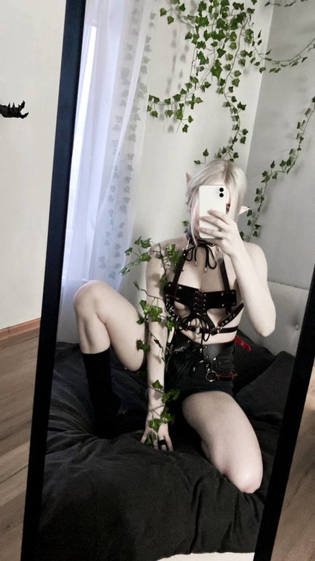 Allotropp トップスター 写真