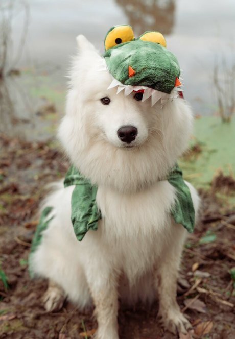 ビキニストリップOnlyFans ホットセックス アーカイブ