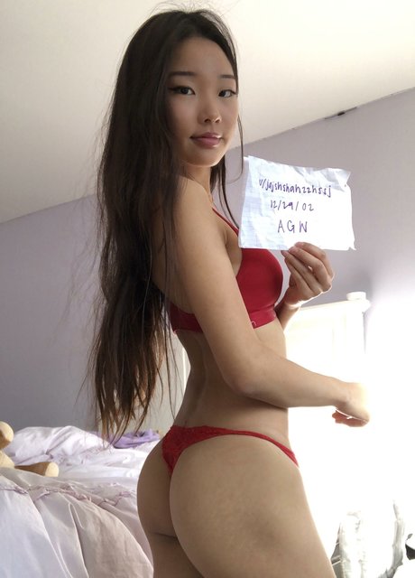 nekogir1 かわいいスター 写真