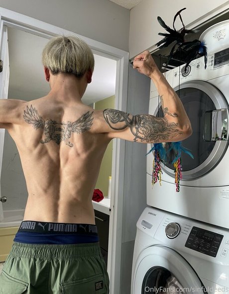 sinfuldeeds 限定スター 写真