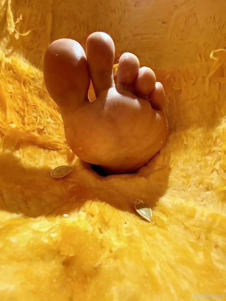 ZeldaHyrule アートポルノスター 写真