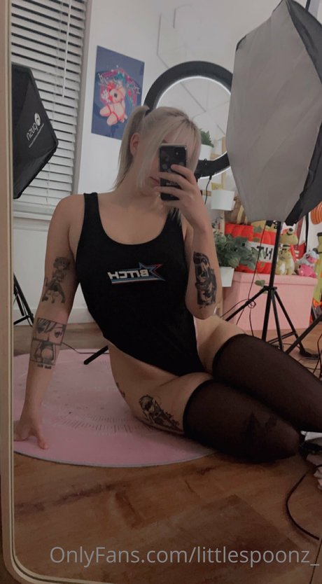 Little Spoonz HDモデル 写真