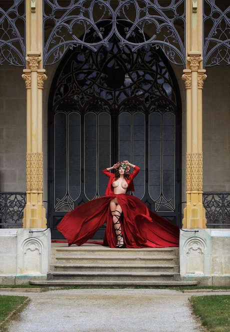 domiisfree ポルノスター ヌード ギャラリー