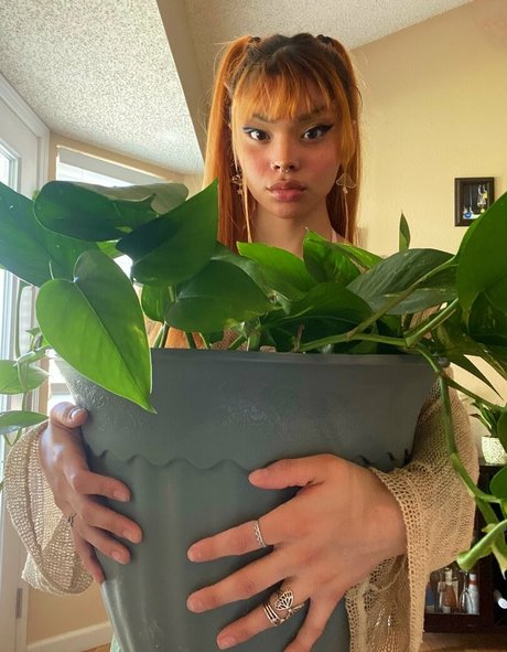 tsrosalie アートポルノスター 写真