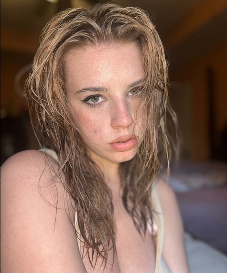 Haley Z 限定スター 写真