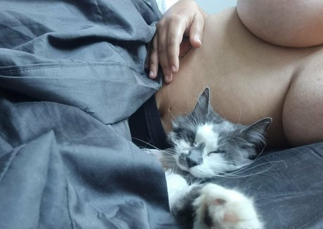 tequila time 最高のポルノスター 画像