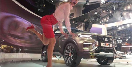 Lisarulit 無料のスター 写真