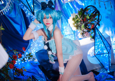 Niantutu HDモデル 画像