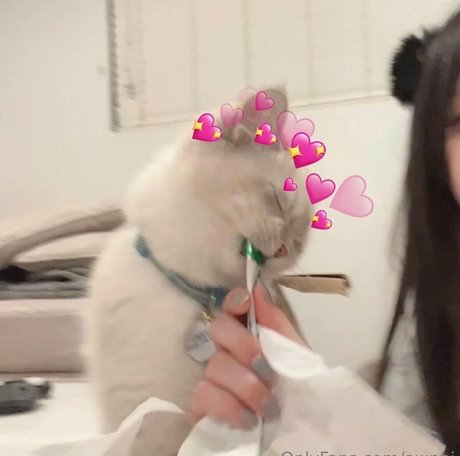 awnni かわいいスター アーカイブ