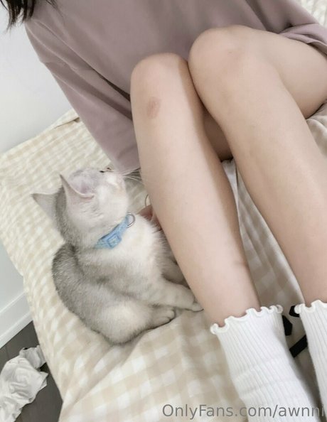 awnni アート女優 アーカイブ