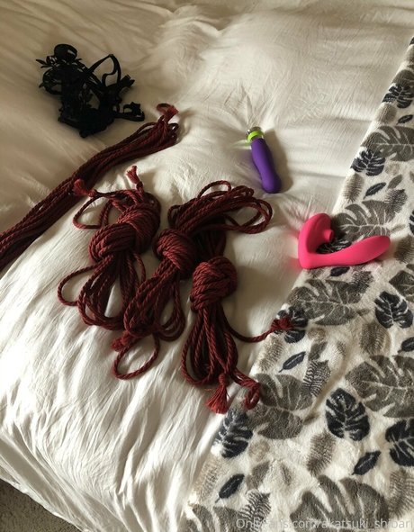 akatsuki shibari top profile image