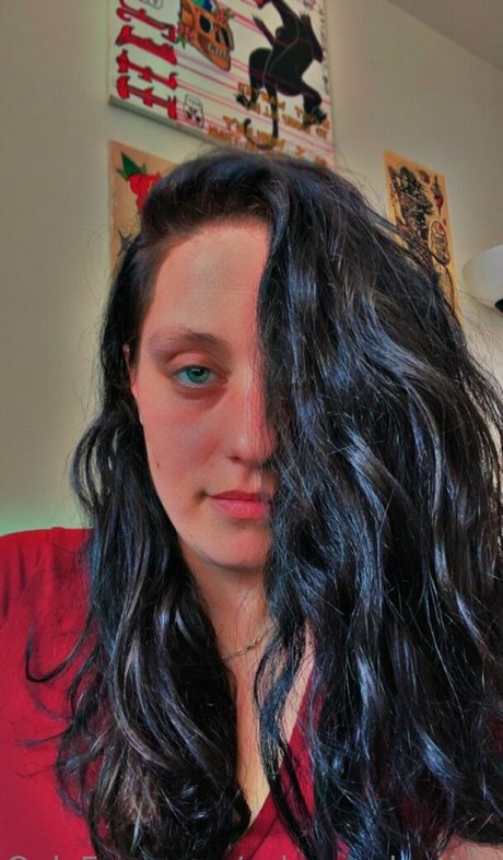 自然のみファン パーフェクト アーカイブ