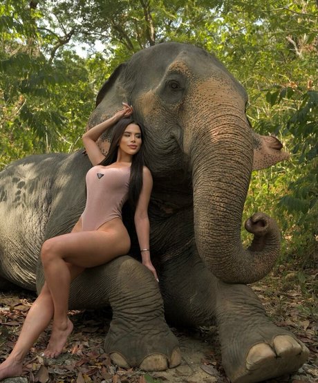 Thay Lupi 女優 写真