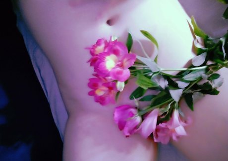 Lissaviip ポルノスター 素敵 画像