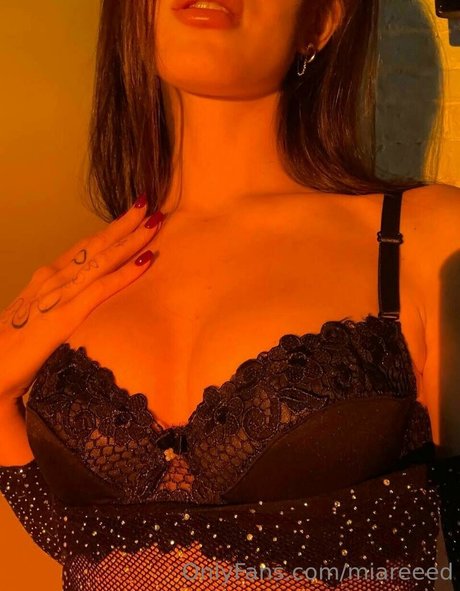 miareeed ポルノモデル 画像